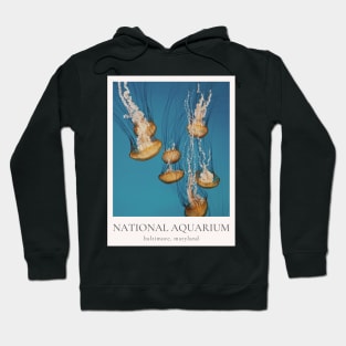 National Aquarium, Baltimore MD Hoodie